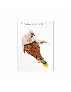 Set carti postale Fashion Birds  #9